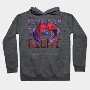 Stupidity Is Not A Right - Moira Overwatch Hoodie